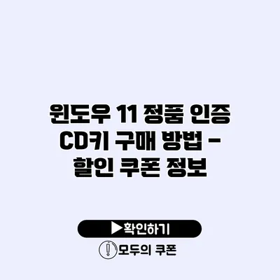 윈도우 11 정품 인증 CD키 구매 방법 – 할인 쿠폰 정보
