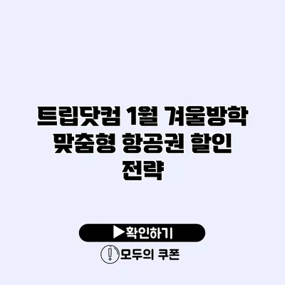 트립닷컴 1월 겨울방학 맞춤형 항공권 할인 전략