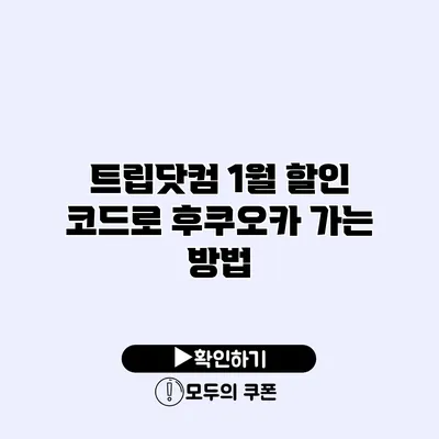트립닷컴 1월 할인 코드로 후쿠오카 가는 방법