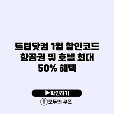 트립닷컴 1월 할인코드 항공권 및 호텔 최대 50% 혜택