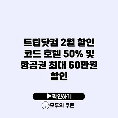 트립닷컴 2월 할인 코드 호텔 50% 및 항공권 최대 60만원 할인