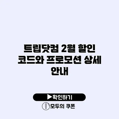 트립닷컴 2월 할인 코드와 프로모션 상세 안내