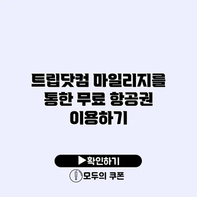 트립닷컴 마일리지를 통한 무료 항공권 이용하기 트립닷컴 마일리지를 통한 무료 항공권 이용하기