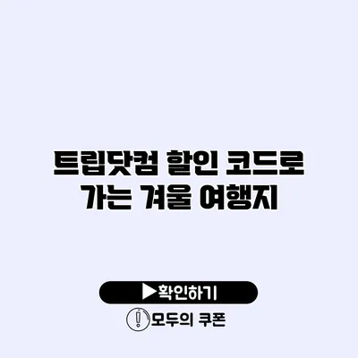 트립닷컴 할인 코드로 가는 겨울 여행지