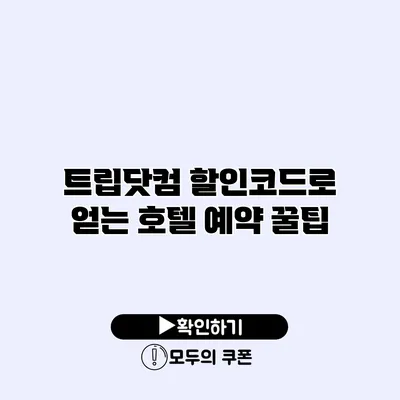 트립닷컴 할인코드로 얻는 호텔 예약 꿀팁