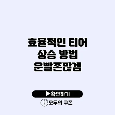 효율적인 티어 상승 방법 운빨존많겜 효율적인 티어 상승 방법 운빨존많겜